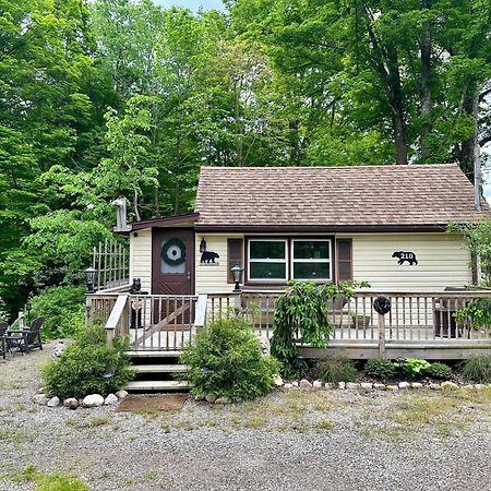 Escape To A Streamside Cabin In The Lower Catskills Wurtsboro Kültér fotó