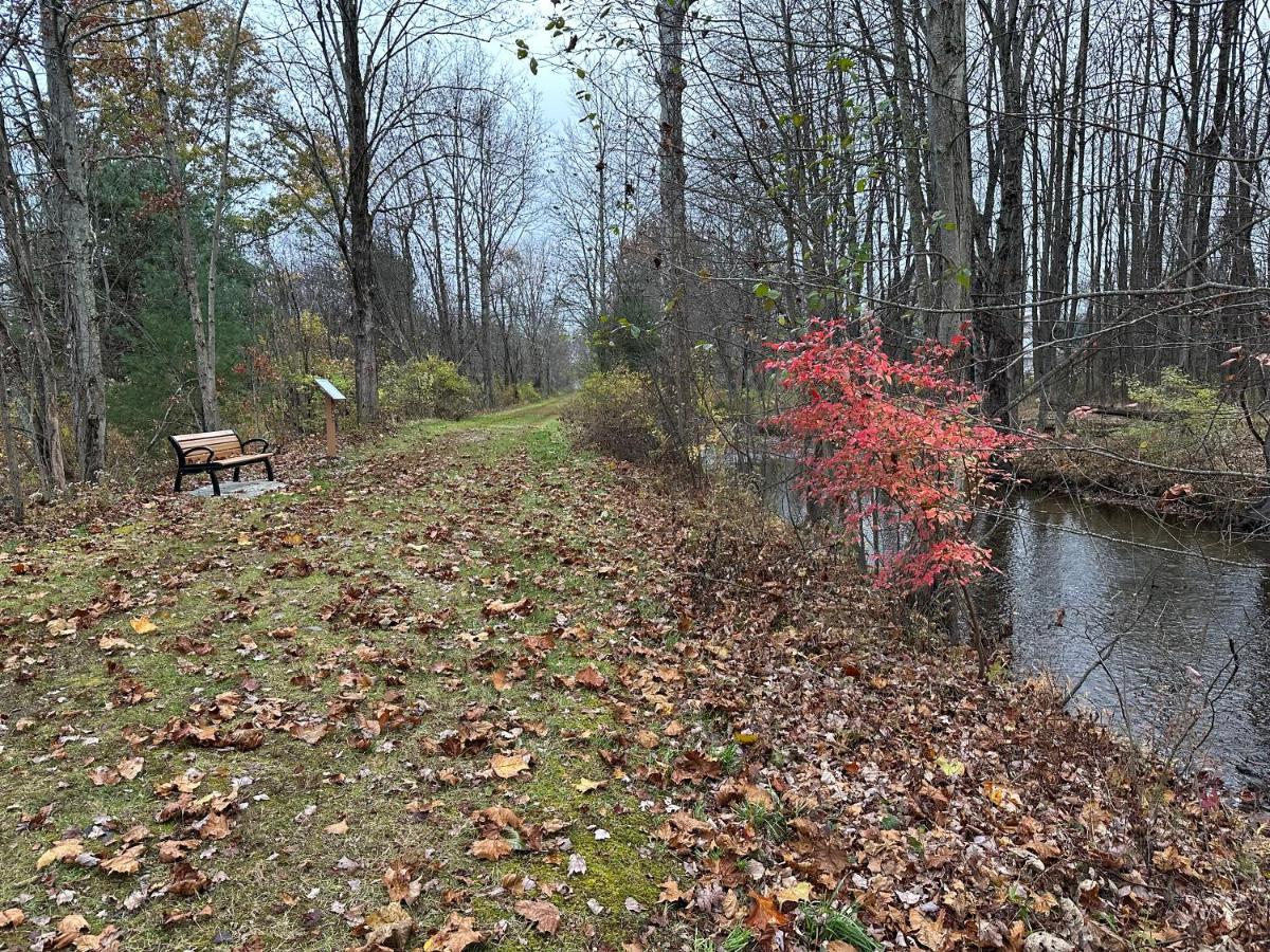 Escape To A Streamside Cabin In The Lower Catskills Wurtsboro Kültér fotó